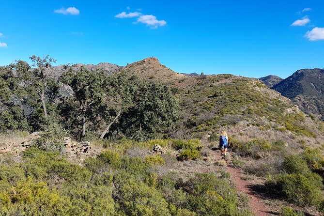 Hike the Cork Oak trail and try some Delicious Cheese - The 12-km cork oak trail: what the walking is really like