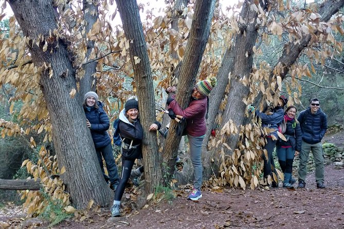 Hike the Cork Oak trail and try some Delicious Cheese - Cork oak forests and an abandoned cork factory: the second half story