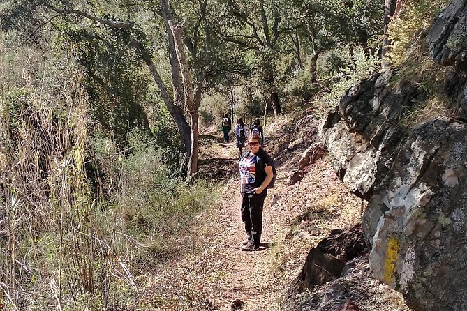 Hike the Cork Oak trail and try some Delicious Cheese - Price and value check: is $53 fair for 5 hours?