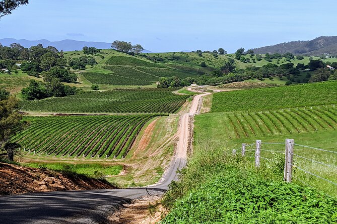 Hunter Valley wine and cheese starting from the Hunter region - Key Things To Know Before You Go