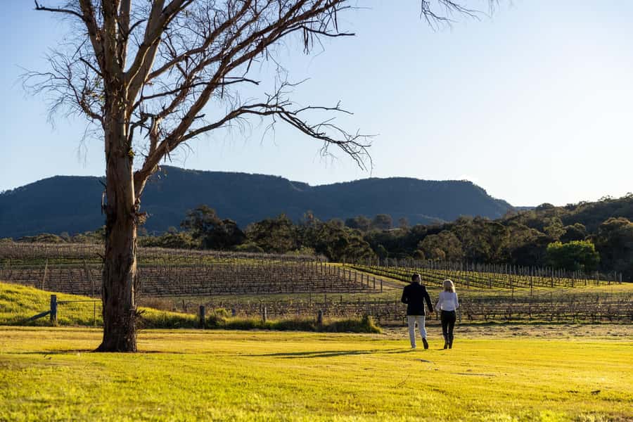 Hunter Valley: Wine and Cheese Tasting - Price Check: Is $38 Good Value for Pooles Rock’s Wine and Cheese?