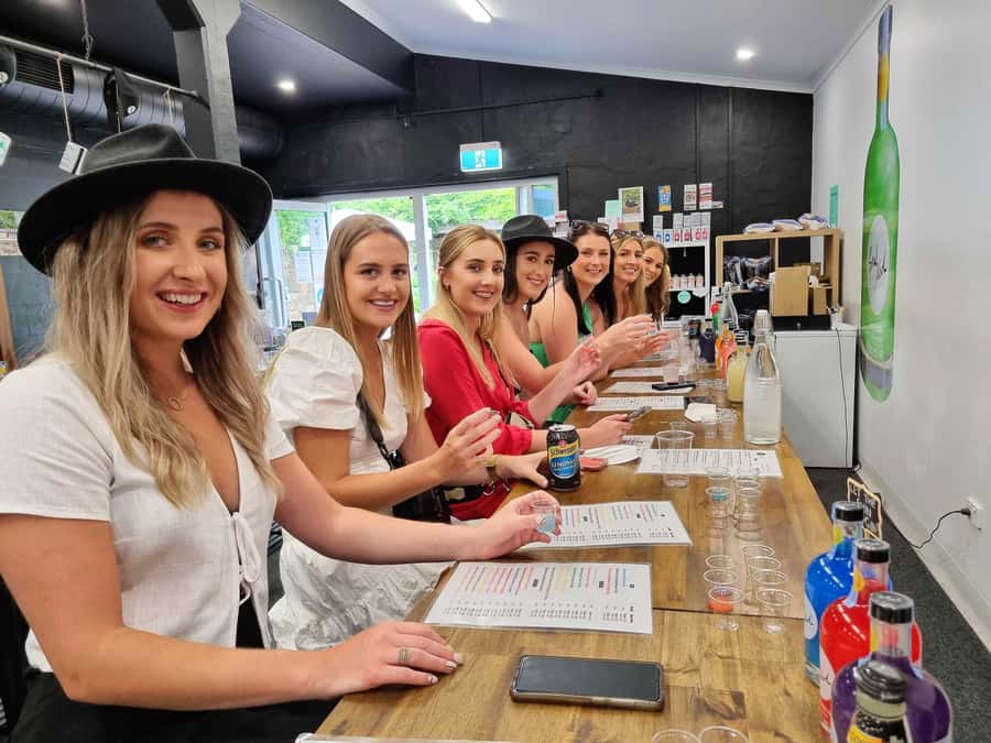 Hunter Valley: Wine, Gin, Cheese and Chocolate Tour - Hotel Pickup, Coach Time, and the Right Amount of Day-Trip Pressure