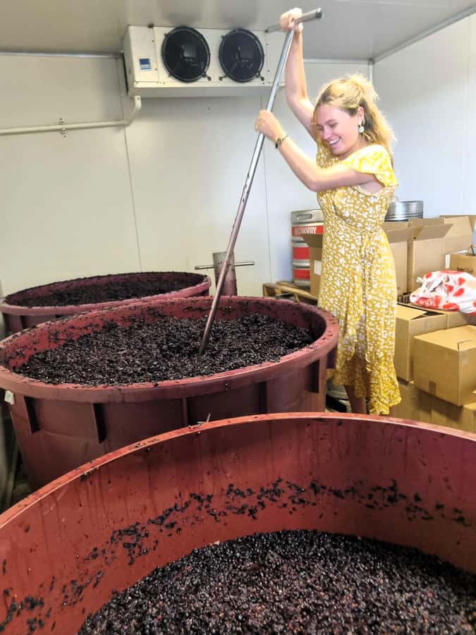 Hunter Valley: Wine, Gin, Cheese and Chocolate Tour - Gin, Vodka, Cheese, and Chocolate: Why This Mix Is Actually Fun