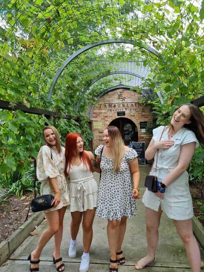 Hunter Valley: Wine, Gin, Cheese and Chocolate Tour - Price and Value: What $159 Buys in a 6-Hour Tasting Day