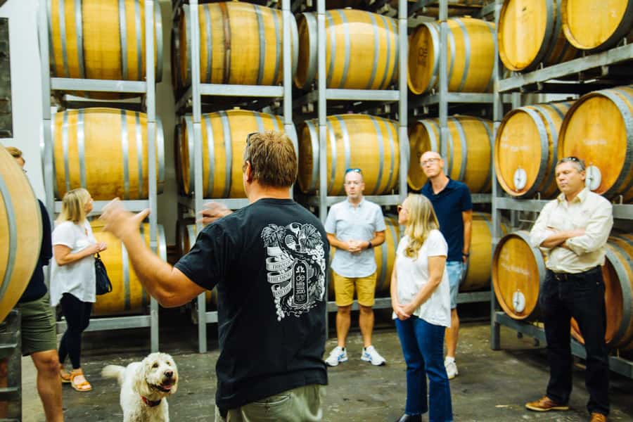 Hunter Valley: Wine, Spirits, and Cheese Tour with Lunch - Lunch With a Glass of Wine or Beer: Fuel Without Killing the Vibe