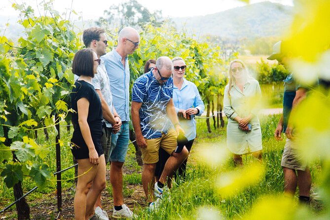 Hunter Valley Wine Tour ex Hunter Valley - Lunch, Cheese, Chocolate, Distillery - Hunter Valley without the driving stress: why this format feels easy