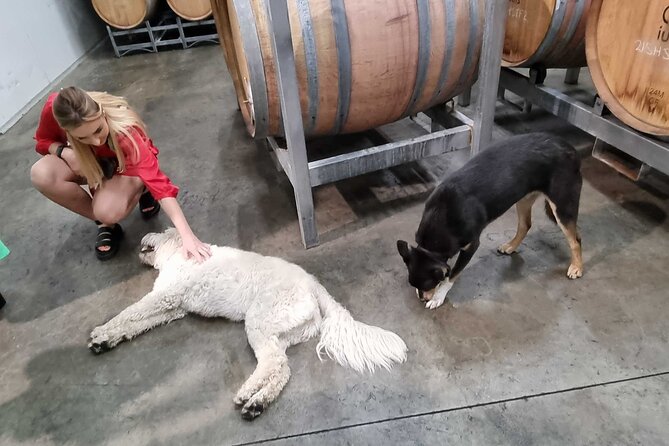 Hunter Valley Wine Tour + Lunch, Gin, Cheese, Choc from Newcastle - The lunch break: relaxed, one-course, with wine or beer