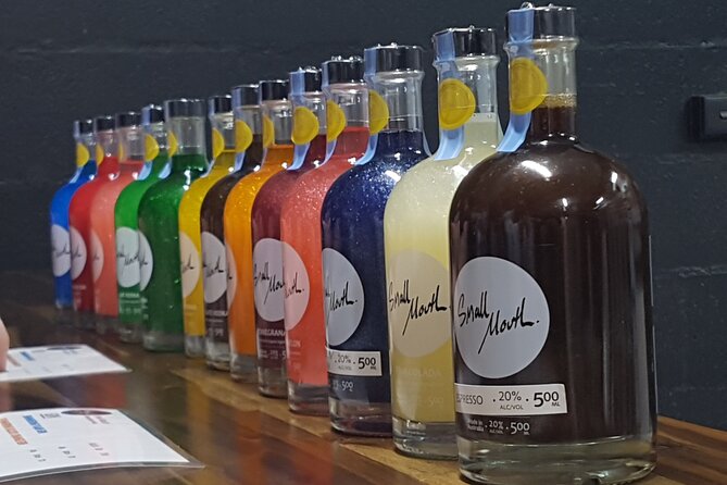 Hunter Valley Wine Tour + Lunch, Gin, Cheese, Choc from Newcastle - Who this Hunter Valley wine tour fits best