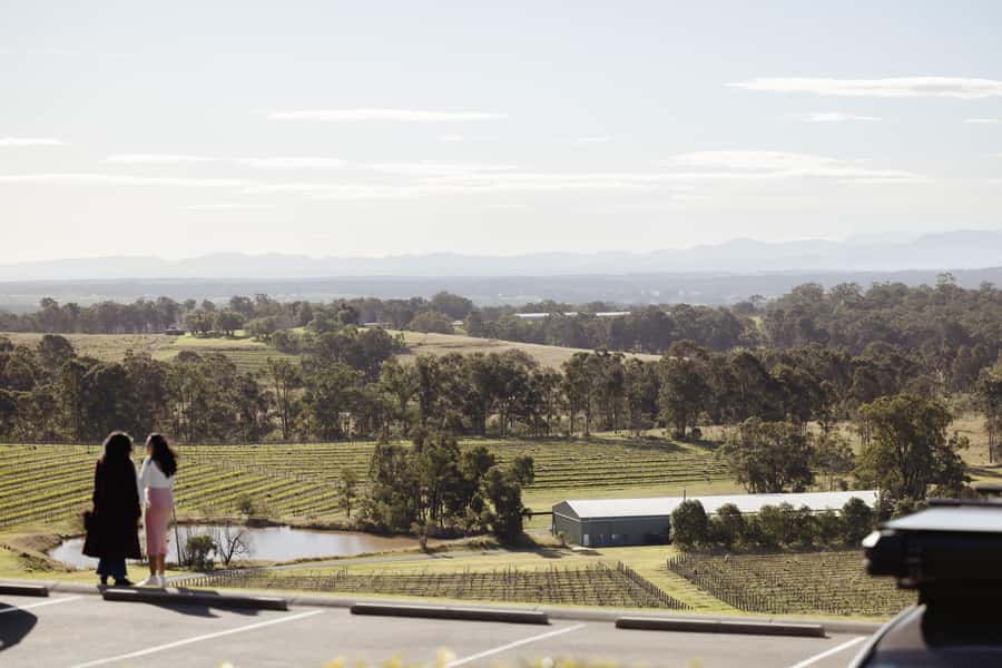 Hunter Valley: Wine Tour with 2-Course Lunch, Choc & Cheese - Who should book this Hunter Valley day trip (and who should skip it)