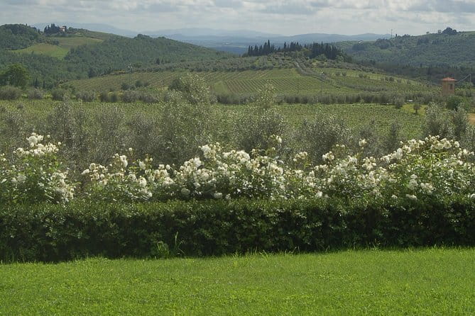 Journey through Italian Cheese - What You’ll Do in the Shop: The Flow From Cheese to Wine