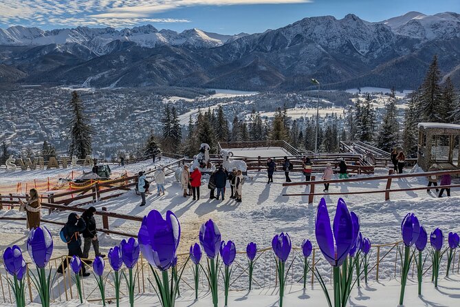 Krakow Zakopane Cable Car Vodka Cheese and Hot Springs Tour - Krupówki Street: your fast introduction to Zakopane’s main strip
