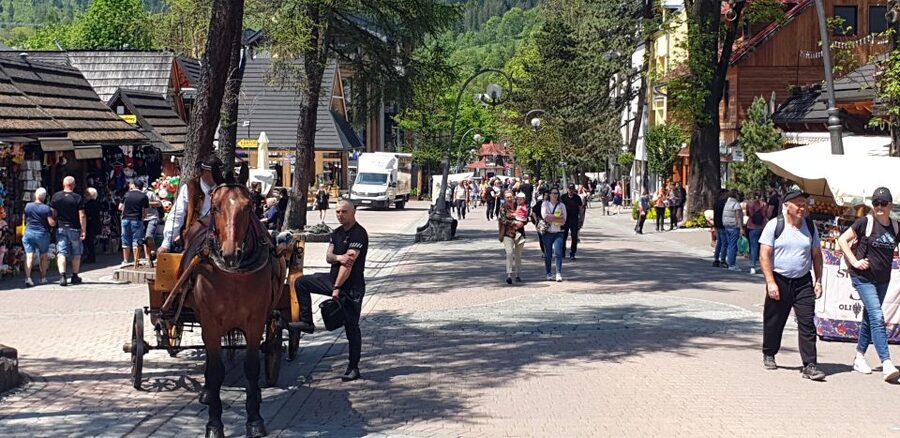 Krakow: Zakopane, Funicular, Cheese, and Highland Day Trip - The bacówka cheese tasting: oscypek and local alcohol