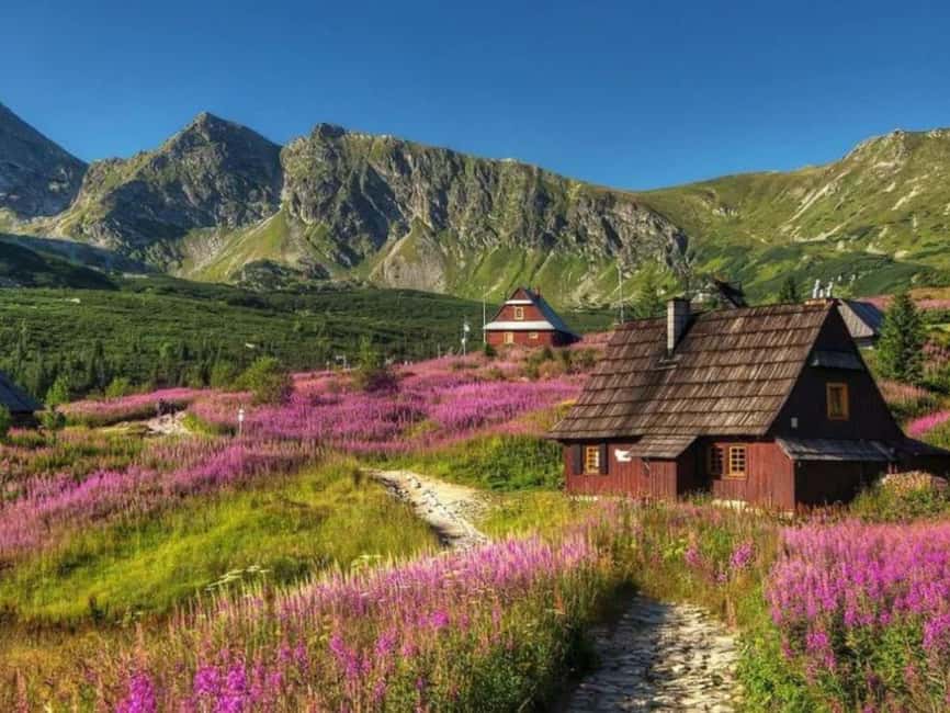 Krakow: Zakopane, Morskie Oko, and Cheese Tasting Tour - Morskie Oko: what the lake stop really feels like