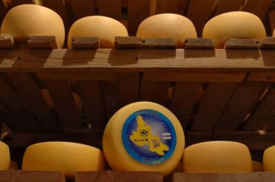 KRK: Cheese factory inside tour and product tasting–guide - What happens during the 1-hour guided walkthrough