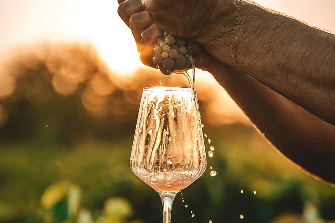 Krka Waterfalls & Wine and Cheese Tasting Tour from Split - Skradin on your own: use the hour for the waterfront and the views