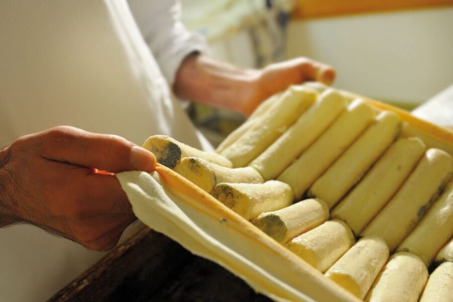 Lake Como: Cheese Factory Tour and Tasting in Valsassina - Carozzi Formaggi in Valsassina: what you’re really doing in 2.5 hours