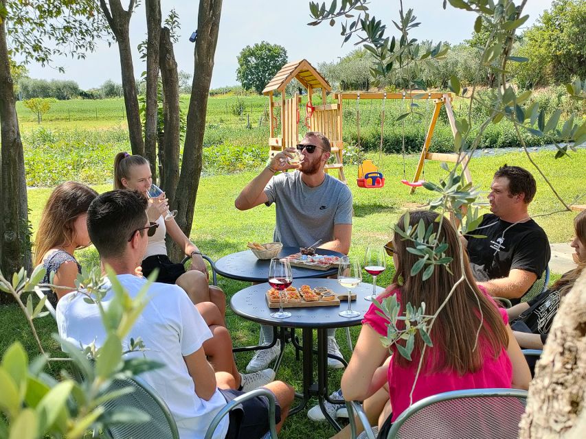 Lazise: Wine Tasting with Charcuterie and Cheese Board - The three wines: what to expect and how the pairing makes sense