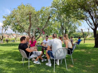 Lazise: Wine Tasting with Charcuterie and Cheese Board - Your 2-hour flow: what happens from arrival to the last sip