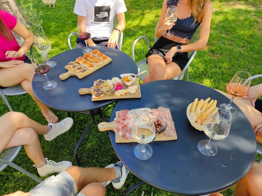 Lazise: Wine Tasting with Charcuterie and Cheese Board - Practical tips for making the most of your visit