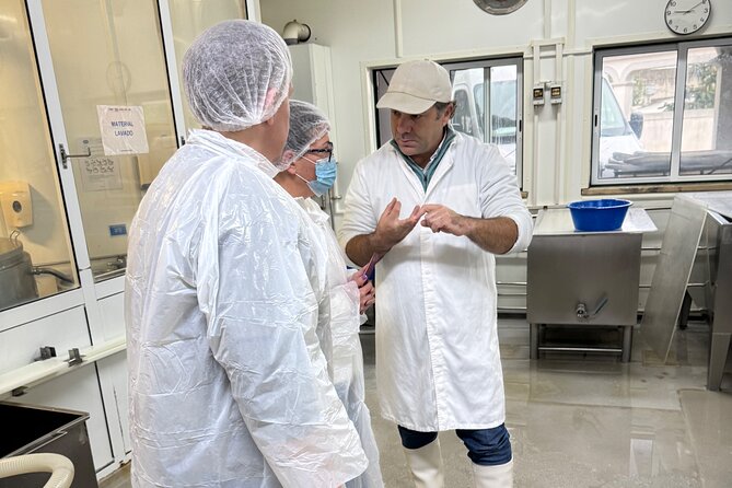 Lisbon Cheese Factory Visit, Wine Tasting and Tile Painting Tour - Price and what you’re actually getting for it