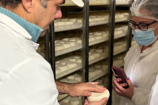 Lisbon Cheese Factory Visit, Wine Tasting and Tile Painting Tour - The winery stop: 4 wines and 4 cheeses done as a guided comparison