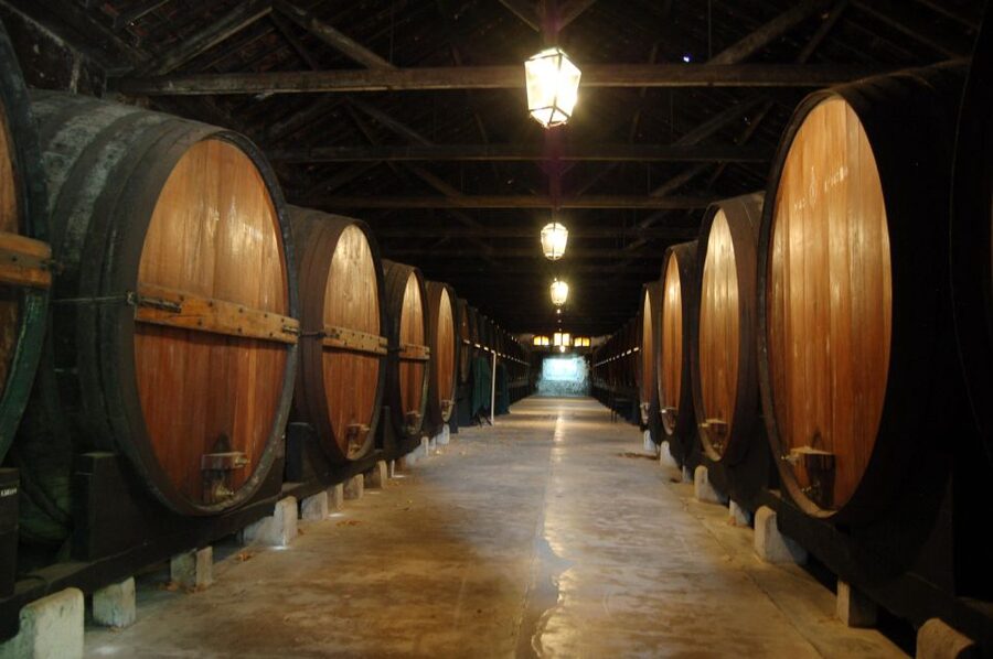 Lisbon Getaway: Private Arrábida Wine & Food Tour - Price and value: what €222 is really buying you