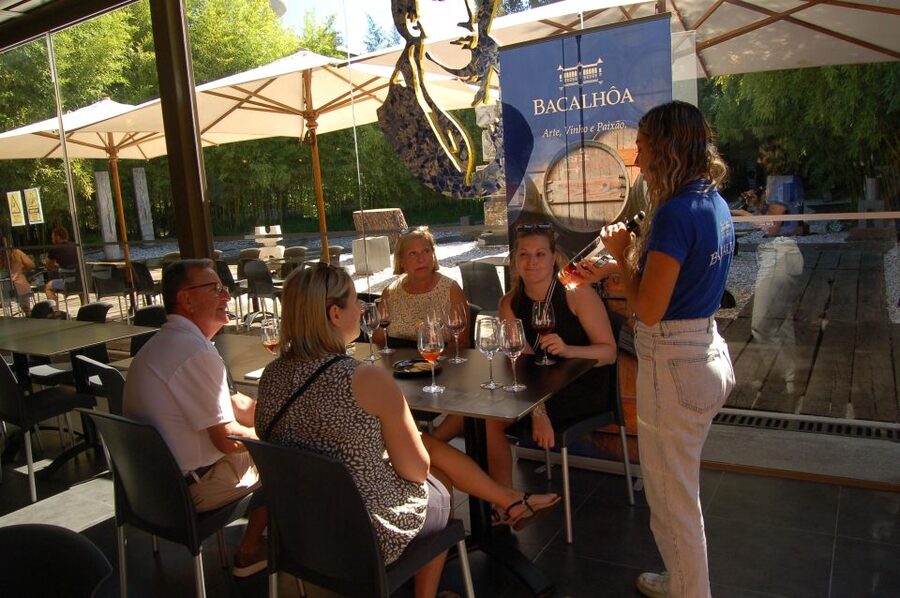 Lisbon Getaway: Private Arrábida Wine & Food Tour - Arrábida Natural Park viewpoints: short stops, big payoff