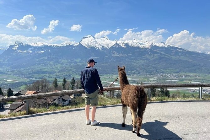 Llama hike with homemade, traditional cheese fondue - Key highlights at Lama- & Alpakahof Triesenberg