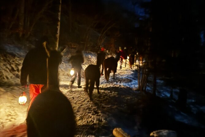 Llama hike with homemade, traditional cheese fondue - Why Triesenberg’s Lama- & Alpakahof fits a fun, low-stress evening