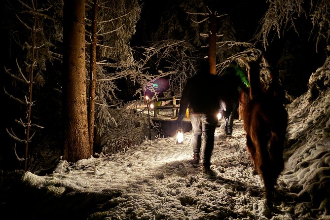 Llama hike with homemade, traditional cheese fondue - Price and value: what $99.90 buys you in Liechtenstein
