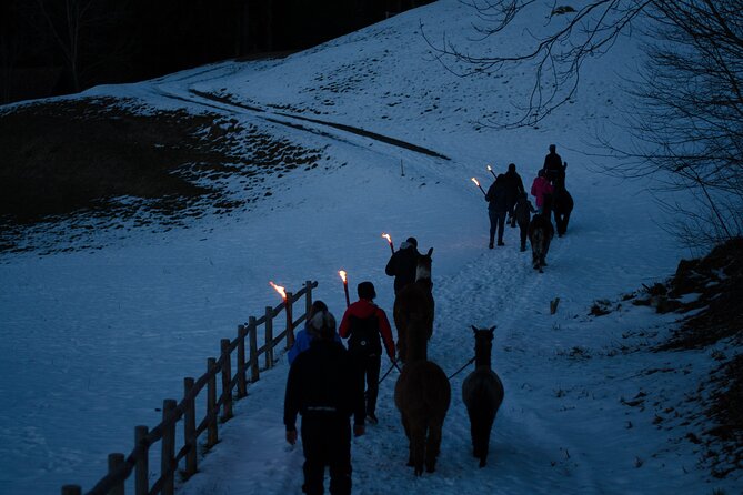 Llama hike with homemade, traditional cheese fondue - Timing and logistics that matter: mobile tickets and where the day ends