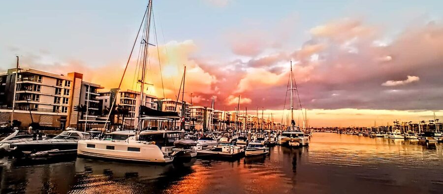 Los Angeles #1: Luxury Boat Cruise-Wine, Cheese & Sea Lions - Key things that make this cruise worth your time