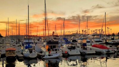 Los Angeles #1: Luxury Boat Cruise-Wine, Cheese & Sea Lions - What you get for your ticket: wine, charcuterie, and music