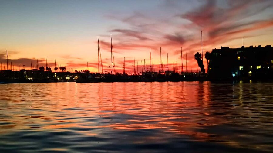 Los Angeles #1: Luxury Boat Cruise-Wine, Cheese & Sea Lions - Timing, Vibe, and Who This Cruise Fits Best