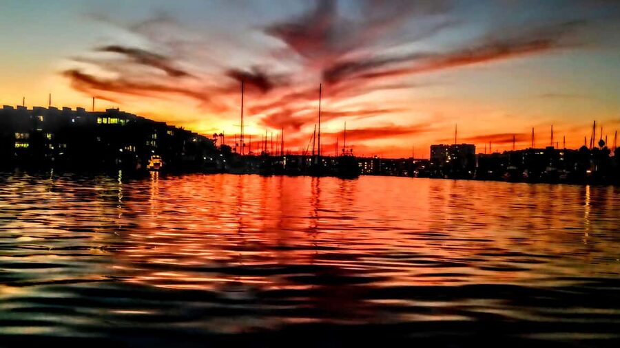 Los Angeles #1: Luxury Boat Cruise-Wine, Cheese & Sea Lions - Helpful prep: shoes, bags, and what to expect onboard