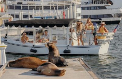 Los Angeles: Luxury Cruise with Wine, Cheese & Sea Lions - The wine-and-charcuterie setup: what you really get