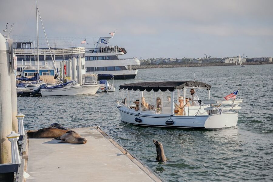 Los Angeles: Luxury Cruise with Wine, Cheese & Sea Lions - Sea lions and birds: spotting wildlife without the stress