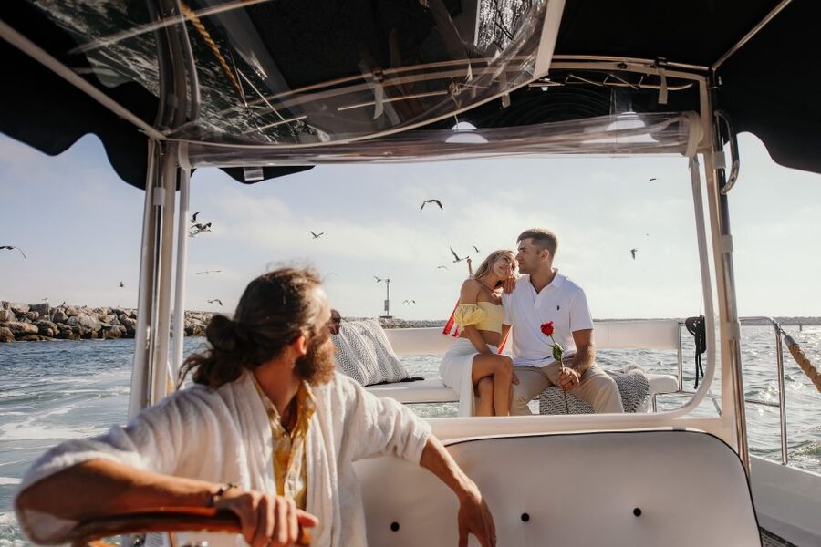 Los Angeles: Luxury Cruise with Wine, Cheese & Sea Lions - Value check: is $119 for 2 hours fair?