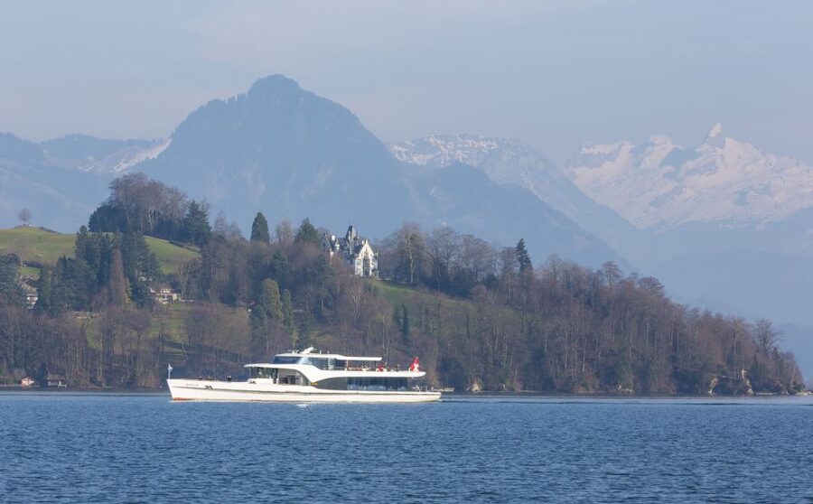 Lucerne: Walking and Boat Tour with Cheese & Wine Tasting - What the price gets you (and how to judge the value)