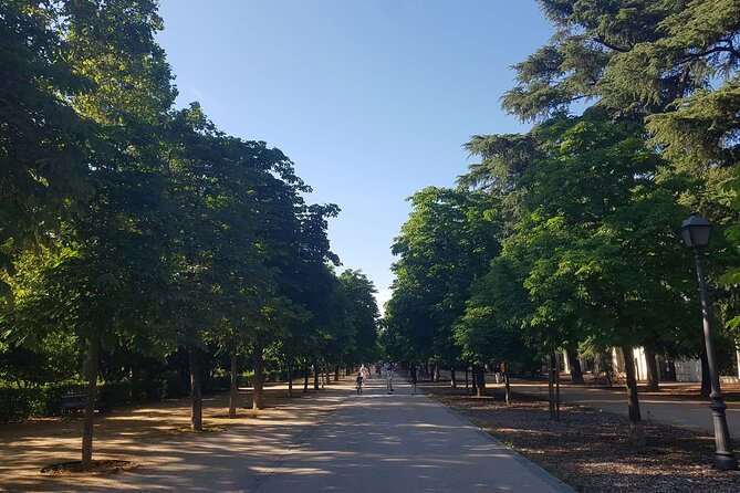 Madrid Bike Tour with Churros and Wine, Ham, and Cheese Upgrade - Price and Pace: Is $54.07 Good Value?
