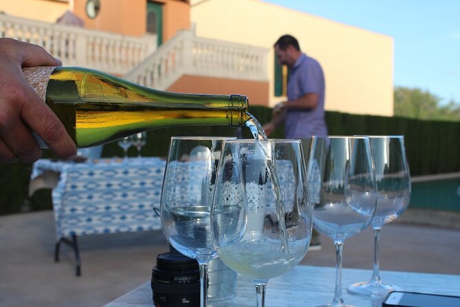 Mallorca Wine and Cheese Tasting - What you’ll taste: 5 Mallorcan wines, Balearic cheeses, and olive oil