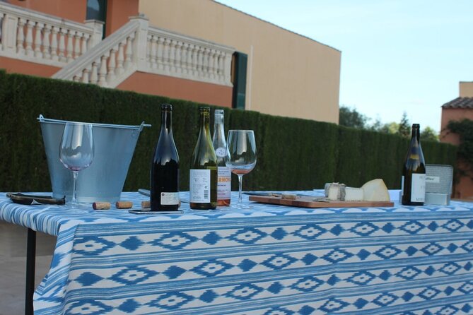 Mallorca Wine and Cheese Tasting - Stop-by-stop: what happens during the experience