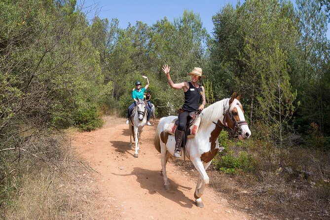 Mallorca Wine and Cheese Tasting - Who this tour is best for (and who may want something else)