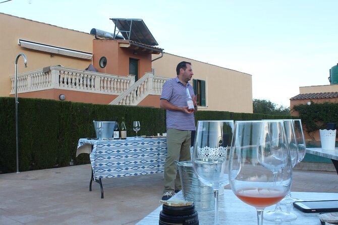Mallorca Wine and Cheese Tasting - Where to meet in Alcúdia (and why it’s easy to find)