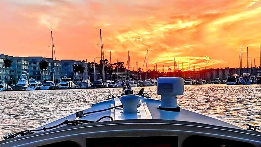 Marina Del Rey: Romantic Cruise, Wine, Cheese, Sealions - Key highlights worth your time