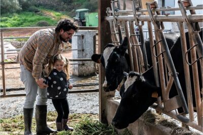 Menorca: Cheesemaking and Farm-Fresh Product Tasting - The Cheese-Making Room: Your Hands-On Part of Mahon Production