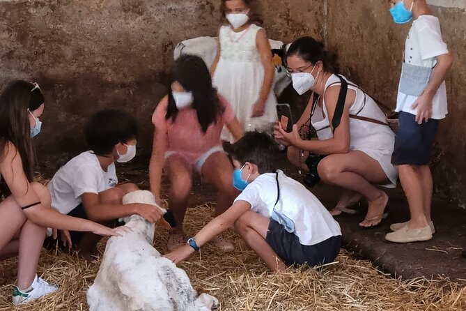 Menorca: Cheesemaking and Farm-Fresh Product Tasting - What You Learn About Menorca Farming (And Why It Matters)