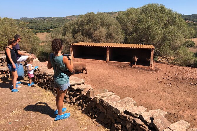 Menorca: Cheesemaking and Farm-Fresh Product Tasting - Price and Value: Is $70.88 a Good Deal?