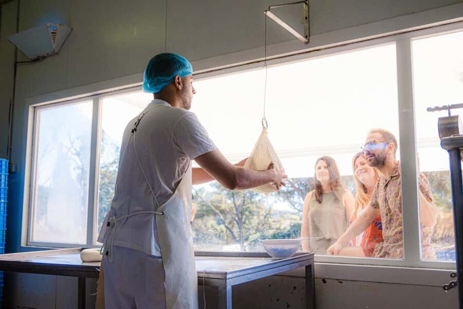Menorca: Guided visit to the Subaida cheese factory, - Key highlights at a glance