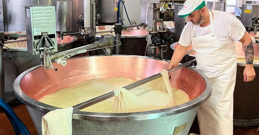 Modena/Bologna: Ferrari, Lambo, Cheese, Vinegar Tour w/Lunch - Getting started: pickup from Bologna or Modena (shared van)